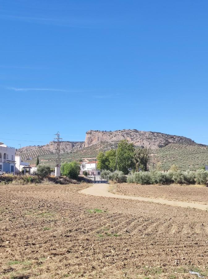 Alojamiento Rural Huerta Mandre Cuevas del Becerro Eksteriør billede